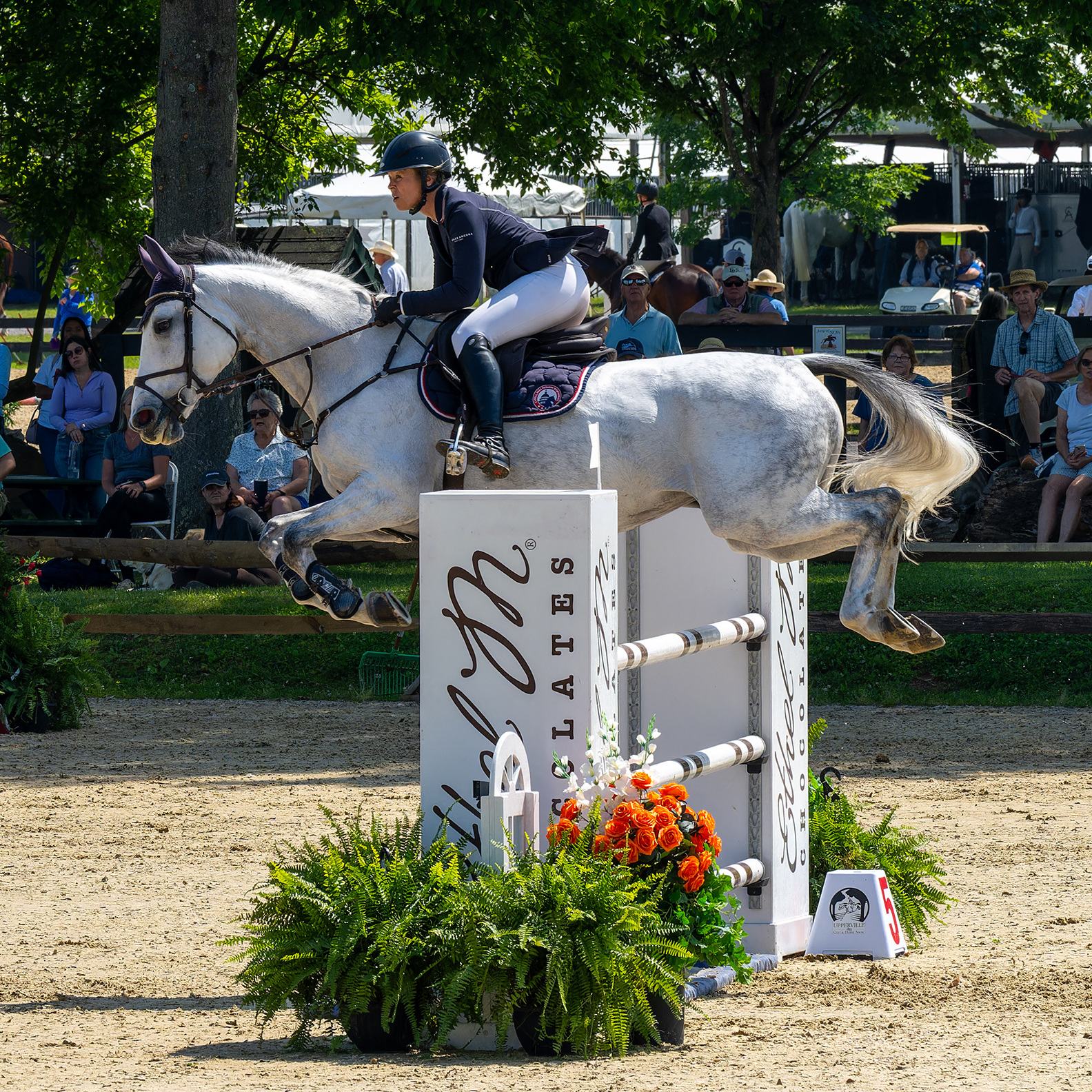 Upperville Colt & Horse Show 2025